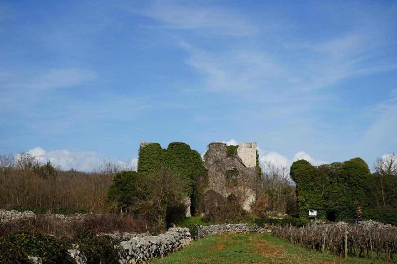 Villa Diny with Pool Pinezići Zewnętrze zdjęcie